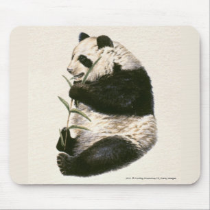 Illustration of Giant panda feeding on bamboo Mouse Pad