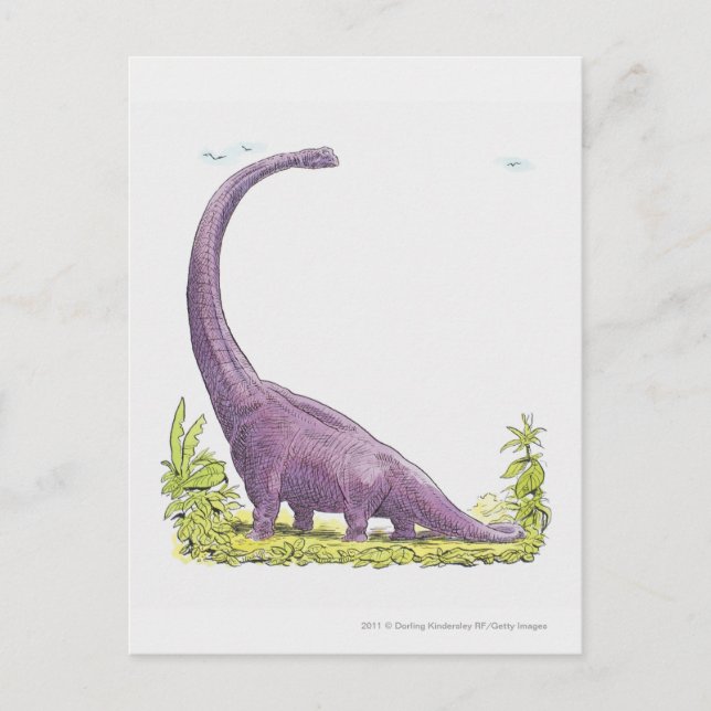 Illustration of Giraffatitan dinosaur Postcard (Front)