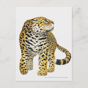 Illustration of Jaguar with head in profile Postcard