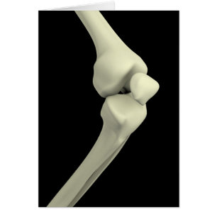 Illustration Of Knee Bone, Bending