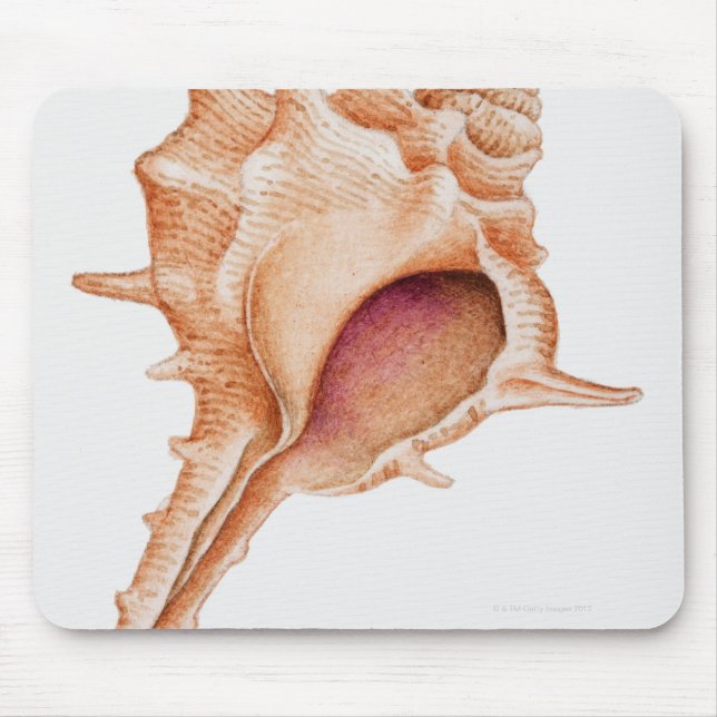 Illustration of Murex shell Mouse Pad (Front)