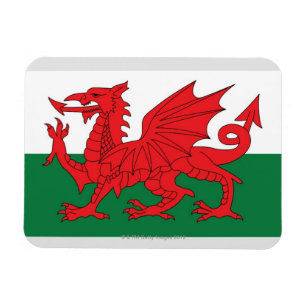 Illustration of national flag of Wales, with red Magnet