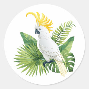 Illustration of parrot cockatoo classic round sticker