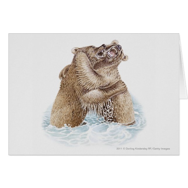 Illustration of two Brown Bears fighting in water (Front Horizontal)