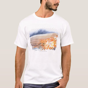 Illustration of Zeppelin bursting into flames T-Shirt
