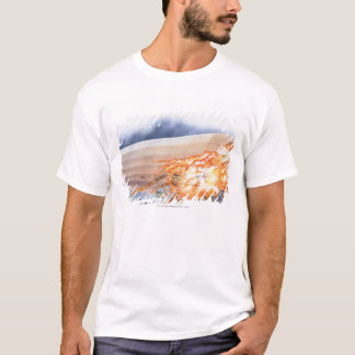 Illustration of Zeppelin bursting into flames T-Shirt