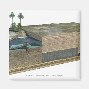 Illustration showing formation of coal magnet