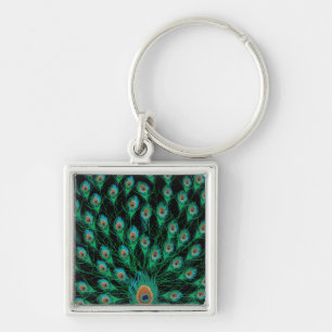Illustration With Peacock Feathers on Black Key Ring