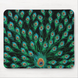 Illustration With Peacock Feathers on Black Mouse Pad
