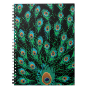 Illustration With Peacock Feathers on Black Notebook