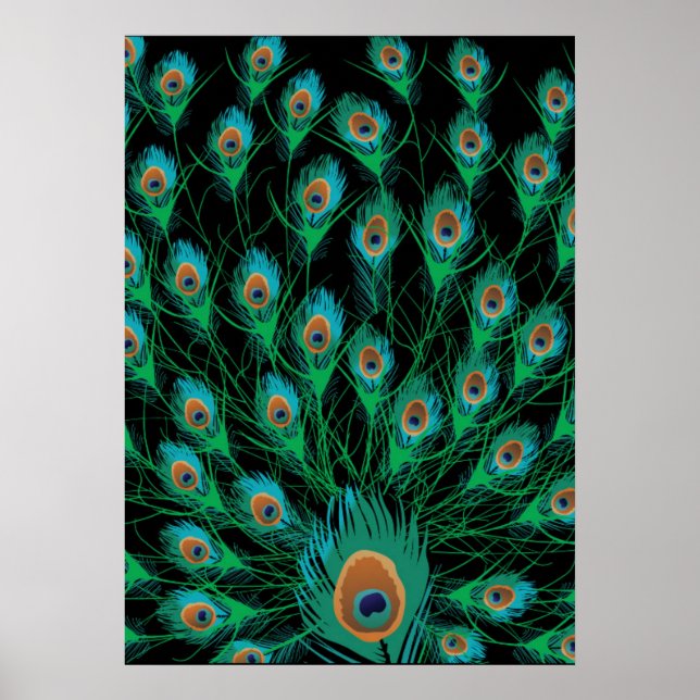 Illustration With Peacock Feathers on Black Poster (Front)