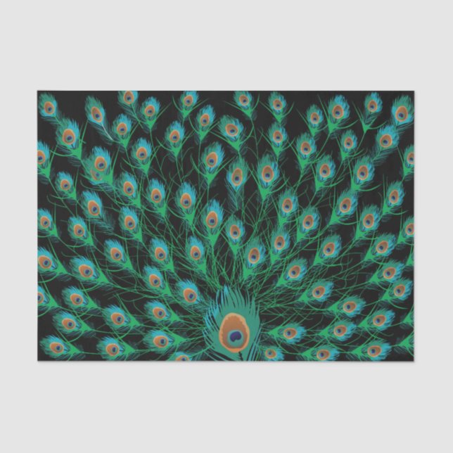 Illustration With Peacock Feathers on Black Tissue Paper (Front)