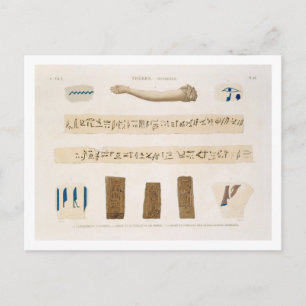 Illustrations of Hieroglyphics and the arm of a mu Postcard