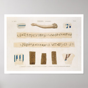 Illustrations of Hieroglyphics and the arm of a mu Poster