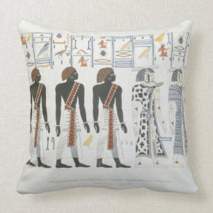 Illustrations of hieroglyphics from the Tombs of t Cushion