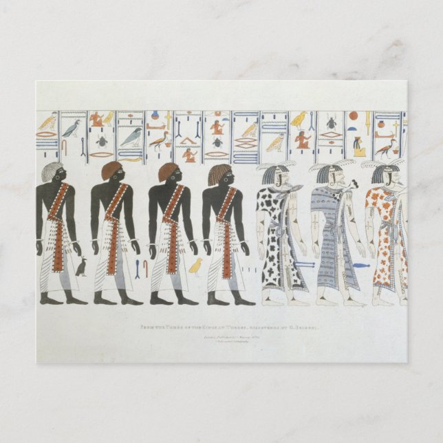 Illustrations of hieroglyphics from the Tombs of t Postcard (Front)