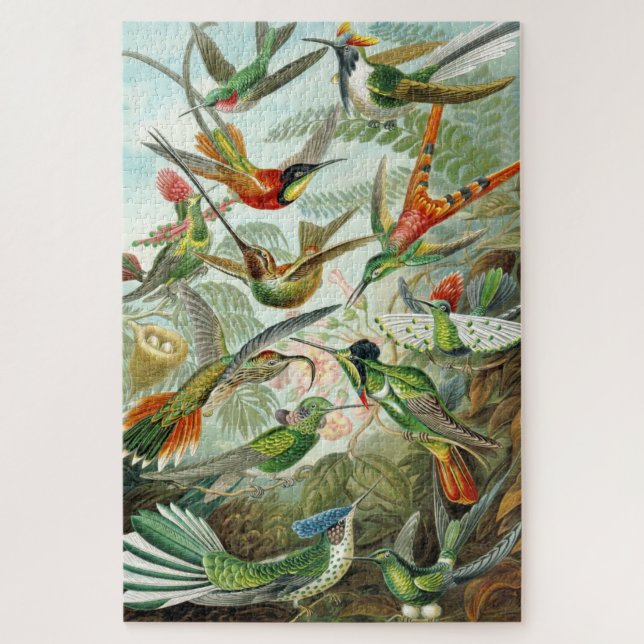 Illustrations of Hummingbirds 1899, Ernst Haeckel, Jigsaw Puzzle (Vertical)
