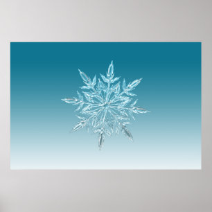 illustrations snowflake ice crystal winter snow poster