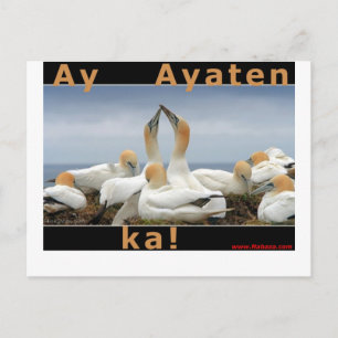 Ilocano Collections Arubub, Jones, Isabela Postcard