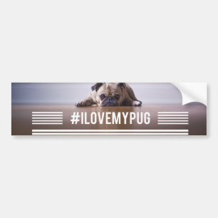 #ILoveMyPug hashtag bumper sticker
