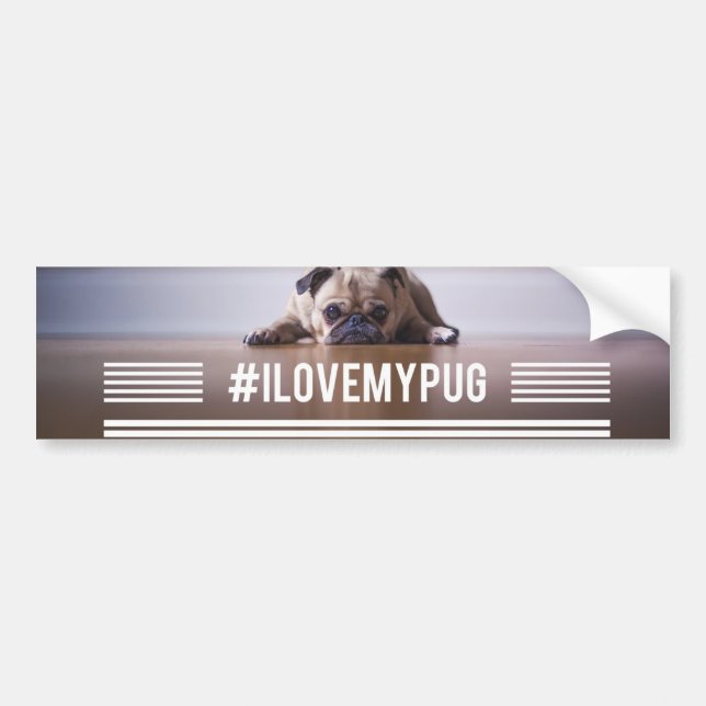 #ILoveMyPug hashtag bumper sticker (Front)