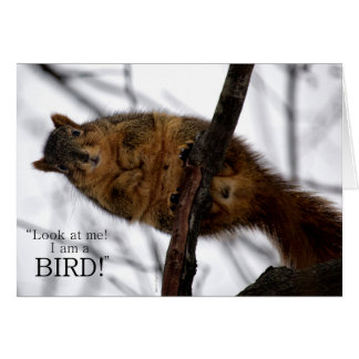 I'm a BIRD!