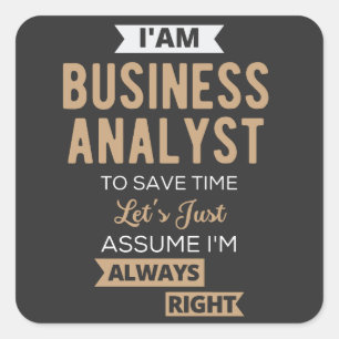 im a business analyst to save time square sticker