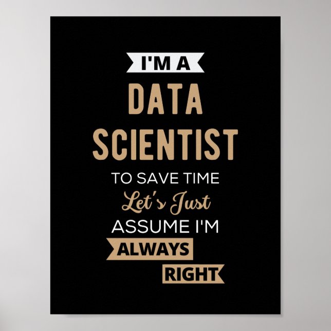 I'm A Data Scientist, To Save Time Let's Just Poster (Front)