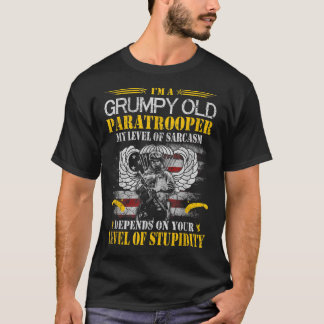 I'm A Grumpy Old Paratrooper Flag Tshirt, Veterans T-Shirt