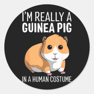 Im A Guinea Pig In A Human Costume Halloween Funny Classic Round Sticker