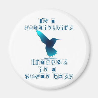 I'm a Hummingbird Magnet