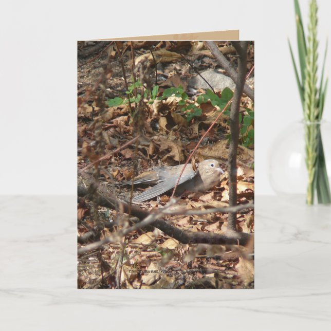 I'm a Leaf, Really Card (Front)