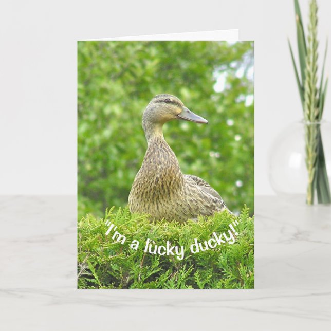"I'M A LUCKY DUCKY/GOT YOU FOR A DAD" CARD (Front)