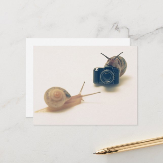 I'm a photographer. postcard (Front/Back In Situ)