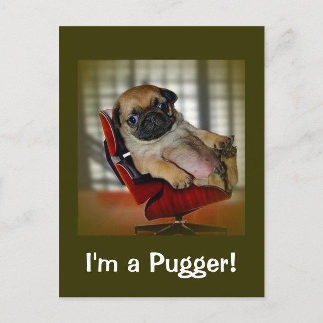 I'm a Pugger! Postcard (Front)