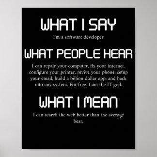 I'm A Software Developer Funny Programming Poster