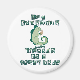 I'm a Thesaurus Magnet