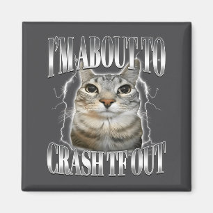 I'm About To Crash Out Funny Staring Cat Brainrot Magnet