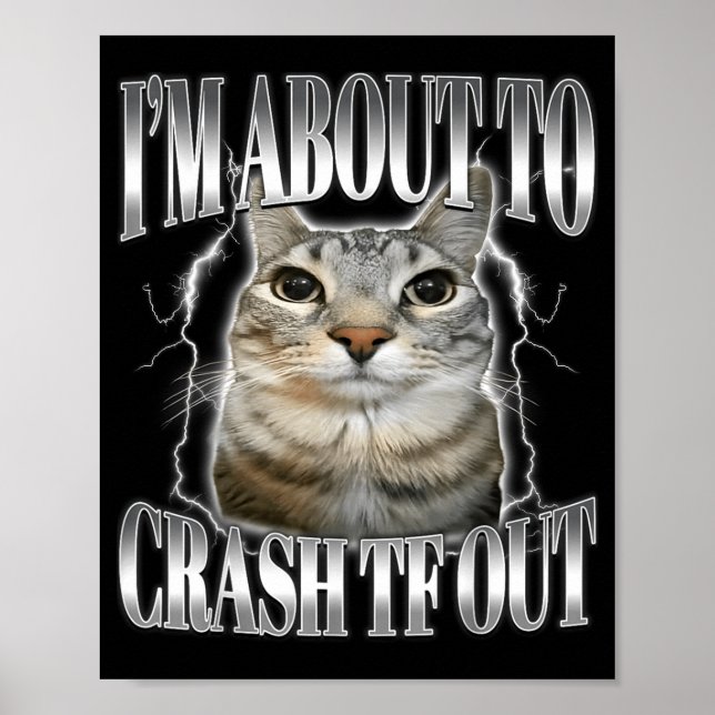 I'm About To Crash Out Funny Staring Cat Brainrot  Poster (Front)