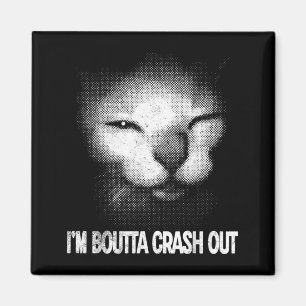 Im About to Crash Out Unhinged Cat Magnet