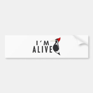 I'm Alive - Ivory Billed Woodpecker Bumper Sticker