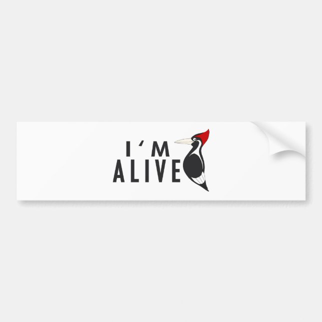 I'm Alive - Ivory Billed Woodpecker Bumper Sticker (Front)