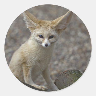 I'm All Ears Sticker