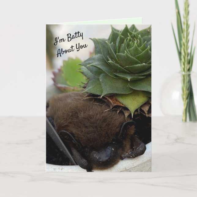 I'm Batty About You - Valentine's Day Card (Front)