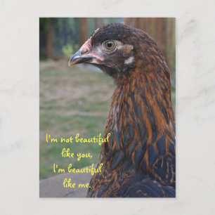 I'm beautiful... Cochin Chicken Postcard