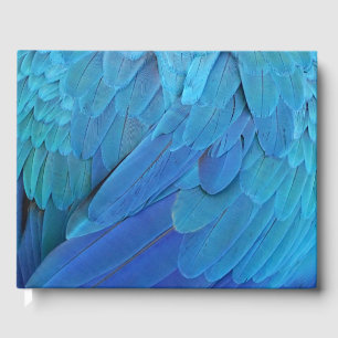 I'm blue - parrot feathers close up  guest book