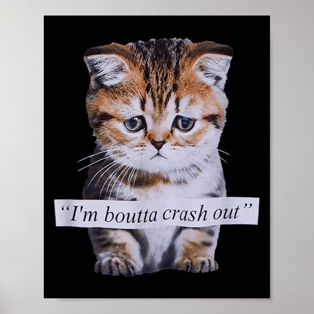 I'm Boutta Crash Out Cat Funny Meme Cat Pet Lover  Poster (Front)