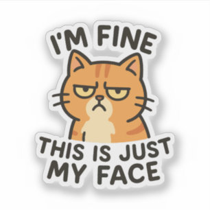 I'm fine this is just my face grumpy cat