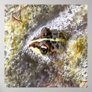 I'm Forever Blowing Bubbles Cute Frog Poster