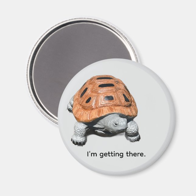 I'm getting there, custom box turtle magnets (Front/Back)